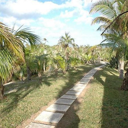 Rocks Retreat By Eleuthera Vacation Rentals North Palmetto Point 외부 사진